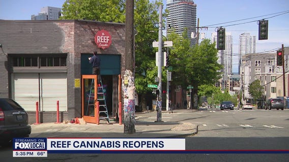 The Reef Cannabis shop reopens after Capitol Hill smash and grab