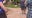 Victim count in Colorado firebombing attack climbs to 15