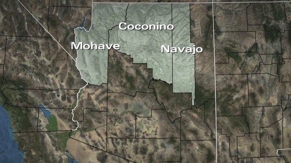 Plague in Arizona: Health officials address concerns after Flagstaff death