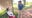 Summer Block Party: Clermont Historic Village