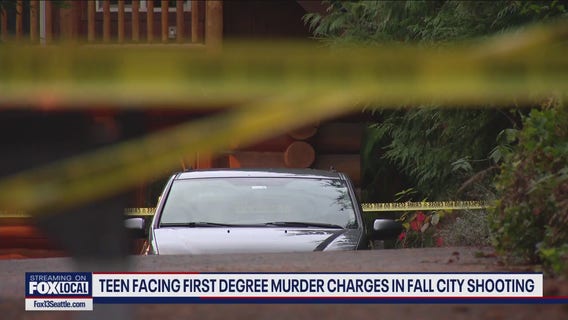 Survivor of Fall City mass shooting released from hospital