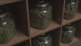 MN cities scrambling to establish cannabis guidelines