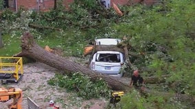 Disaster Proclamation issued for several Illinois counties after July storms, flooding