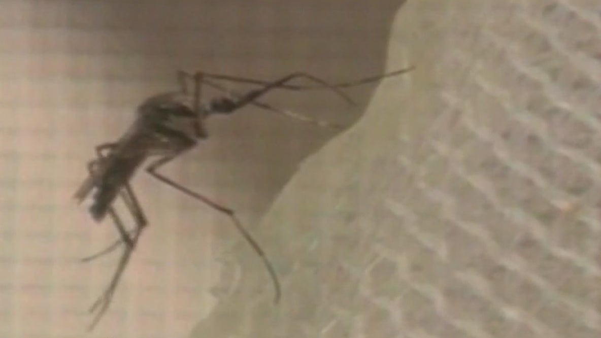 Mosquitos trapped in Valley test positive for West Nile