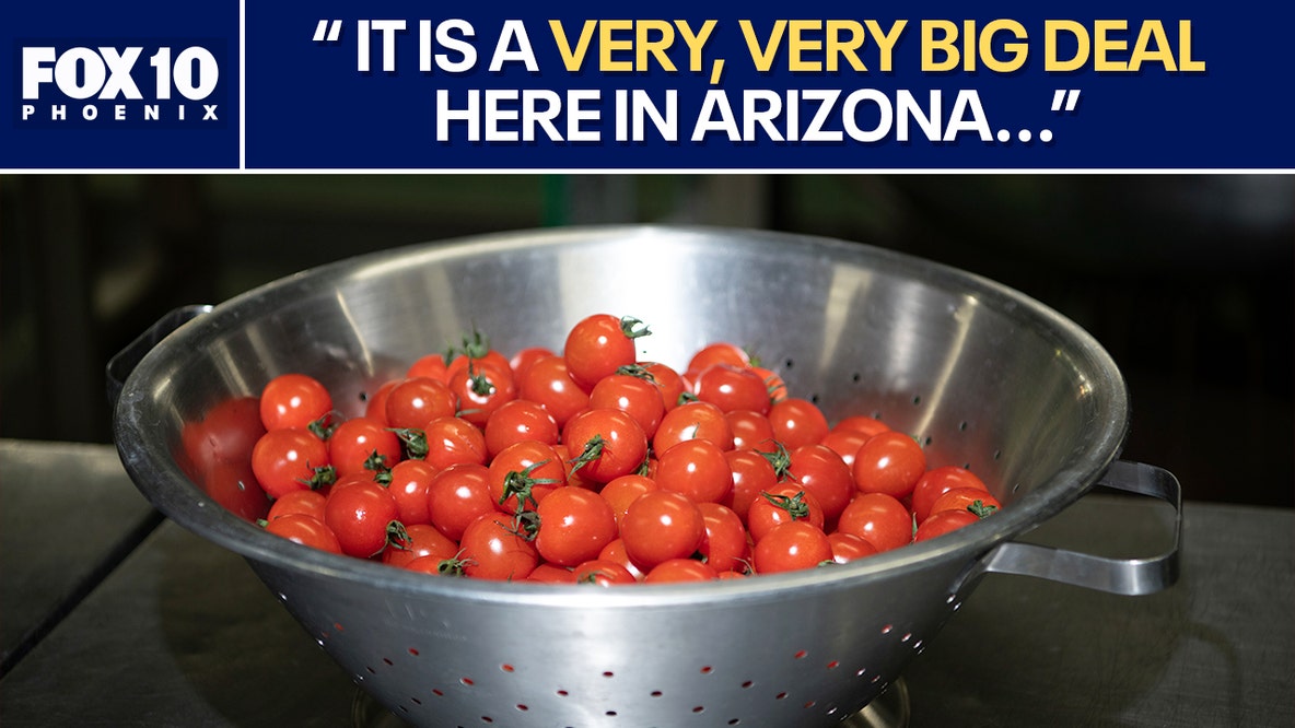 Arizona reacts to 17% tomato tariff