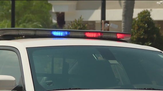 Grady Judd: Deputies shoot, kill 'bizarre' armed man minutes after apparent gator attack in lake