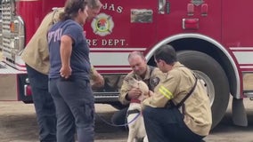 Therapy dog comforts California firefighters