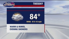 Evening rain from Beryl expected Tuesday, continuing overnight