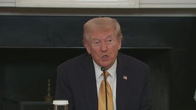 Tech leaders and San Francisco mayor change Trump's mind about immigration 'surge'