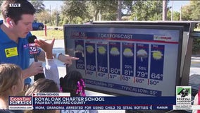 Storm School: Royal Oak Charter School