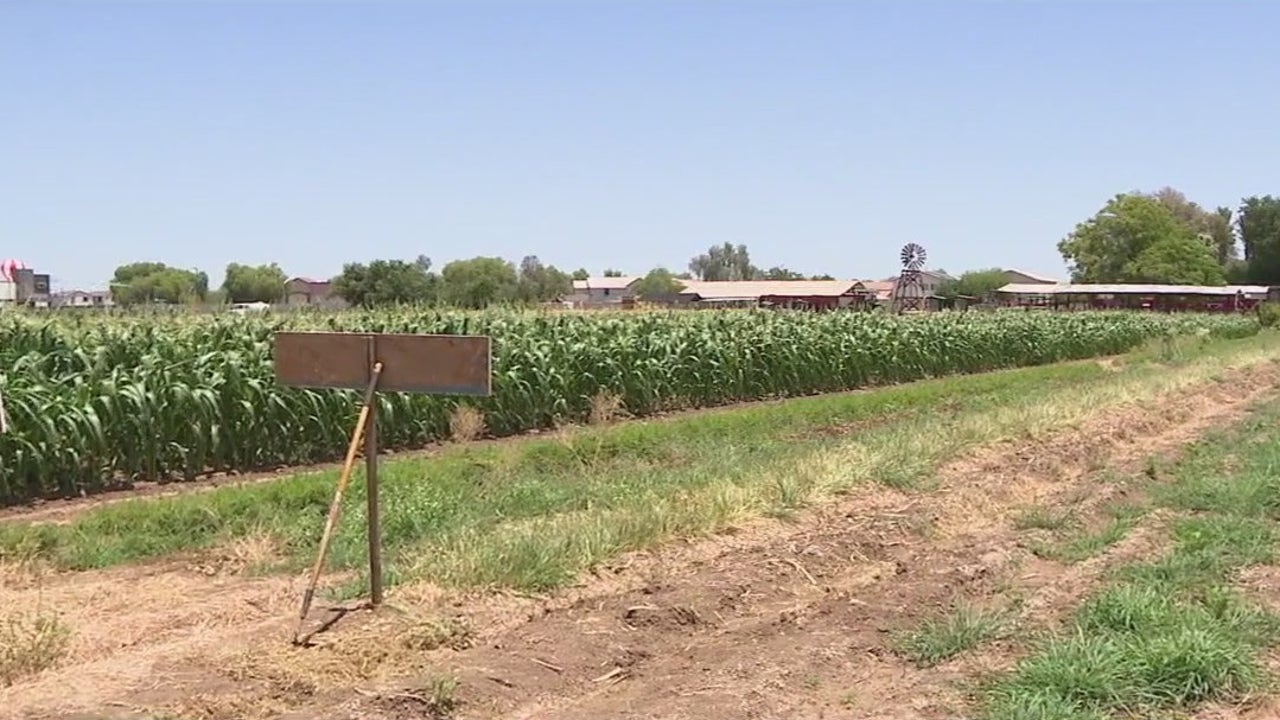 Immigration: AZ sees limited impact from crackdown