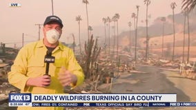 Entire neighborhoods wiped out by Palisades Fire in CA