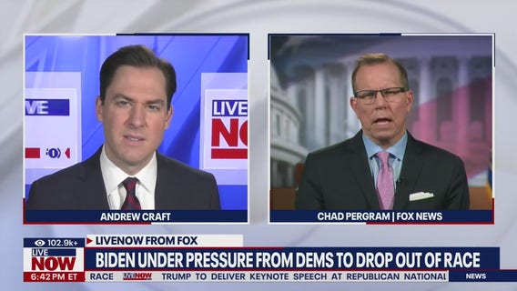 Majority of Democrats think Kamala Harris would make a good president: poll