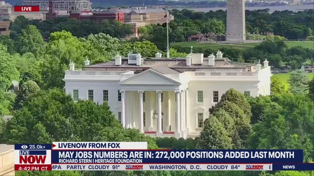 Which college degrees can land you a job in 2024?