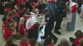 Protesters occupy Cannon House Office Building