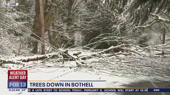 Heavy snow causes trees to fall in Bothell, WA