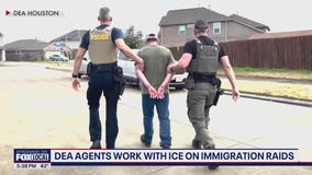 DEA agents work with ICE on immigration raids
