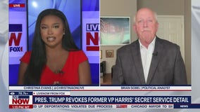 Kamala Harris' inner circle crafted a 'Red File' contingency plan a year before Biden dropped out: book