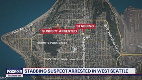 SPD arrests man in West Seattle stabbing, robbery