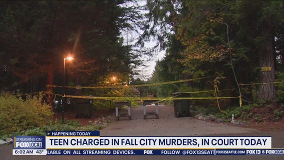 Teen charged in Fall city murders