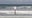 Hurricane Erin: Live look of the rough surf at Daytona Beach