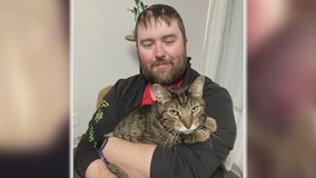 Cat, owner reunite in Houston after months and miles apart