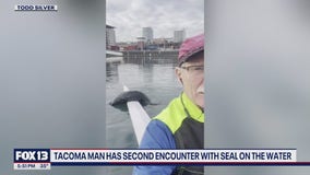 Tacoma man has second encounter with seal on the water