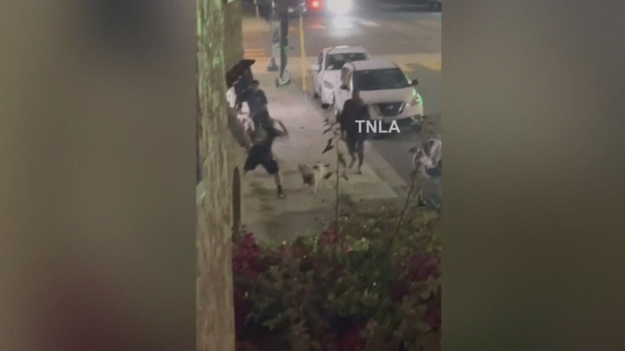 Man stabs dog after fight breaks out in Long Beach | FOX 11 Los Angeles