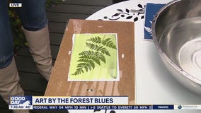 U District Street Fair returns this weekend