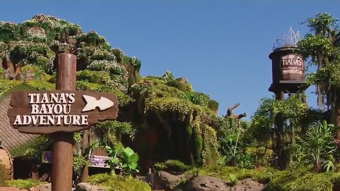 Florida businesses help create Disney attractions