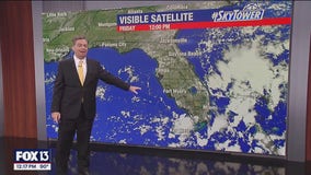 Tampa Weather | Afternoon showers possible