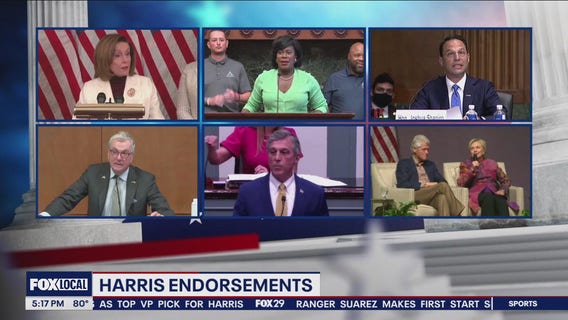 2024 Election: When will Kamala Harris announce her running mate?