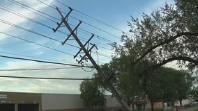 Massive cleanup job underway after storms plow through Des Plaines