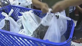 Georgia grandmother fears for her family as SNAP benefits remain frozen