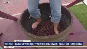 Grapefest returns this weekend in Grapevine