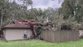 Family loses everything when tree falls on home