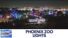 Phoenix Zoo Lights | Drone Zone