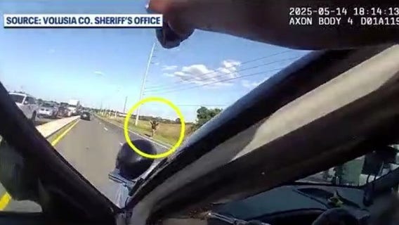 Man waving knife at traffic arrested in Volusia County