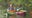 Kayaking 101 classes on Georgia lakes