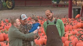 Should be a great weekend for pumpkin picking