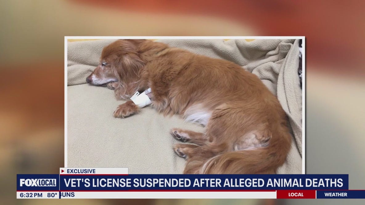 Veterinarian's license suspended after alleged animal deaths
