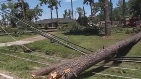 Houston poor tree control behind power woe?