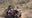 Family rescued from Phoenix hiking trail despite its closure