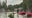 Tennessee flash flooding kills family of three