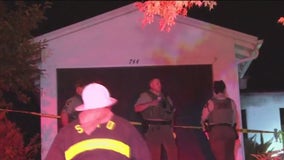 Woman dies in Mill Valley house fire, one man and several dogs escape