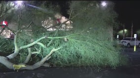 Fast-moving storms in Apache Junction cause problems