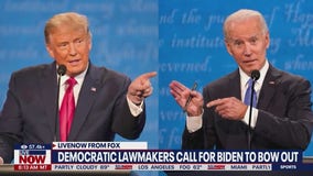 DNC committee moving forward with plans for virtual roll call vote in early August