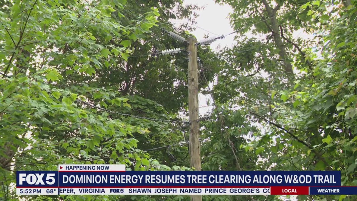 Dominion Energy resumes clearing trees along Washington and Old Dominion Trail