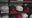 Grand opening for Falcons and United team store