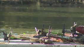 Scooters pulled out of Lady Bird Lake
